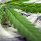 marijuana leaf over cash