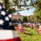 Photo: Flag display on Quad, Memorial Union in background