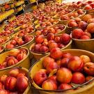 Baskets of nectarines