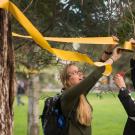 Photo: Two students wrap yellow ribbon around a tree.