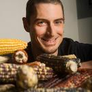 Man with a number of colored corn ears in front of him