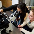 Two women at microscope table in lab.