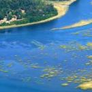 photo: cord grass clumps in river in an aerial photo from a distance