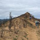 Students in a UC Davis fire ecology class walk along a burned ridge