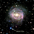 Supernova 2017cbv, on the outskirts of the spiral galaxy NGC 5643. Data are from the Las Cumbres Observatory Global Supernova Pr