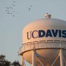 A closeup of the UC Davis water tower