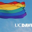 A photo of the rainbow pride flag with UC Davis superimposed over the top.