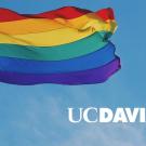 Rainbow flag with "UC Davis" wordmark