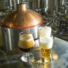 Three foamy glasses of beer in front of a copper tank and the brewing facility at UC Davis