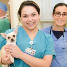 Two people from vet school with small dog