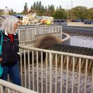 Woman walks past wastewater treatment plant tank.