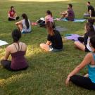 A group does yoga on the Quad at UC Davis.
