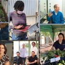 Collage of people in different research situations, labs, greenhouses, etc