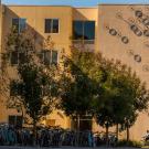 A large group of bicycles with a student riding one bicycle in front of a building.