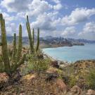 A coastal mountain ranges. rises abruptly out of the Sea of Cortez south of Loreto. Baja California Sur, Mexico.