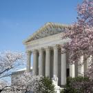 Oblique view of U.S. Supreme Court building with blue sky and cherry blossom