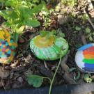 Three painted rocks in the Queer Flower Garden