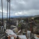 Burned hillside with charred trees and ruined homes, cloudy sky and distant LA county skyline.