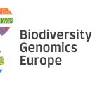 Logo with stylized DNA helix on the left and the words Biodiversity Genomics Europe on right. 