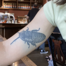 Tattoo of Madagascar cockroach on inner upper arm