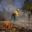 woman in yellow jacket rakes leaves during prescribed burn as flames slowly burn leaves in foreground