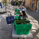 From an outside table, a student picks up produce made available by Aggie Compass