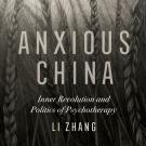 "Anxious China" book cover, cropped for index