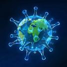 Photo of Earth wrapped in coronavirus