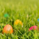 Easter eggs partially hidden in the grass