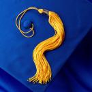 Graduation cap and tassel, blue and gold