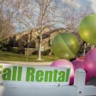 Pink and green balloons draw attention to an apartment rental sign