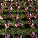 Rows of American flags.