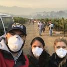 Three people with masks stand in a smoky vineyard