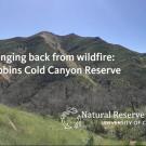 Title card: "Spring Back from Wildfire"