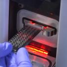 Hand inserts target plate into mass spectrometer with red light.