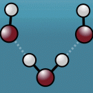 Animation of water molecules