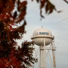 "UC Davis" water tower, with fall foliage in the foreground