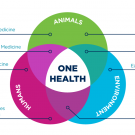 One Health Venn Diagram