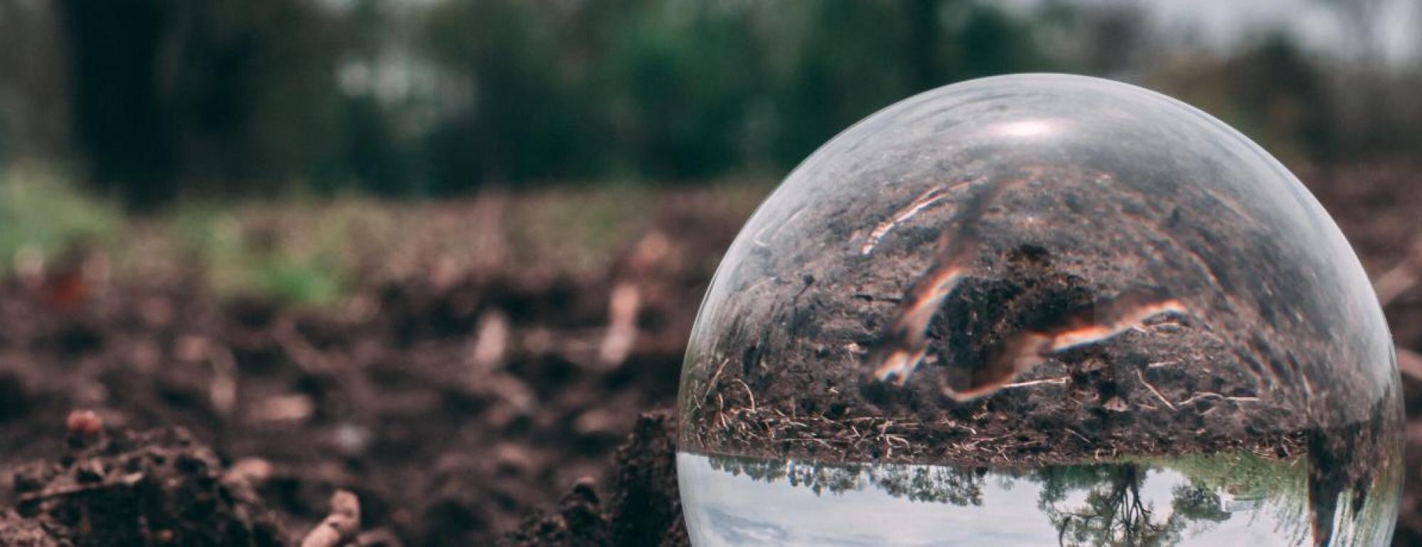glass globe in soil