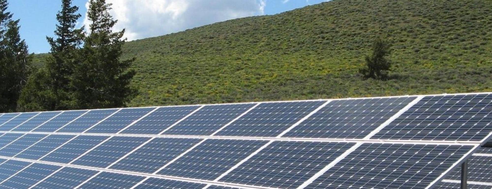 solar panels near hill with trees