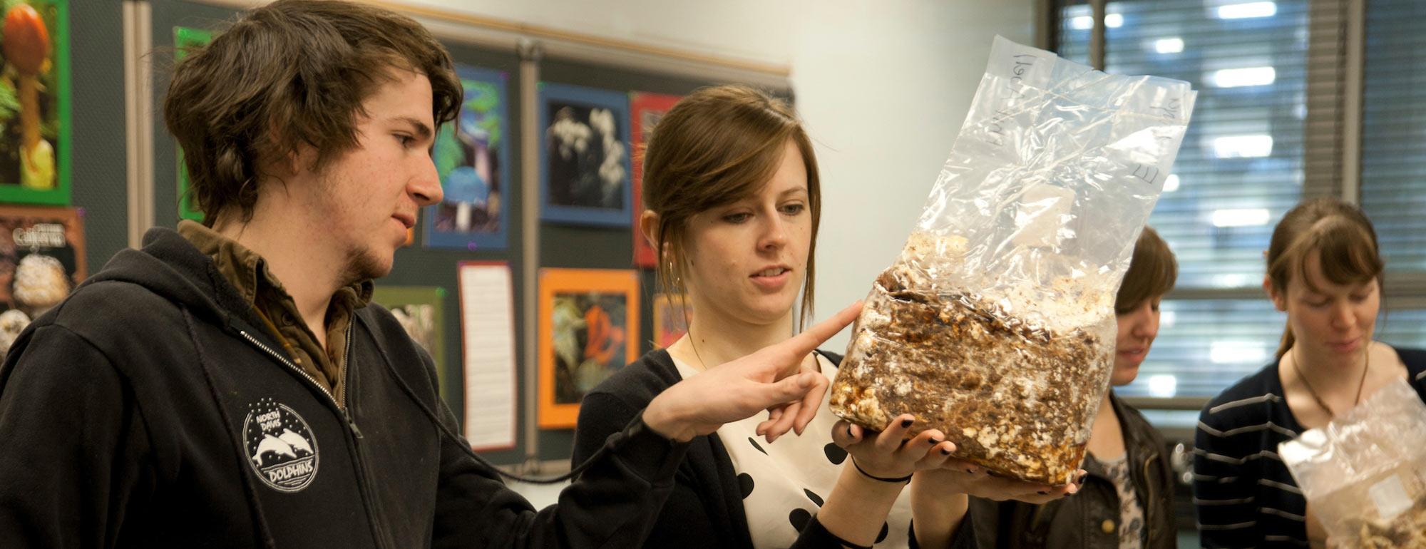 Two students examine a shitake mushroom starter bag