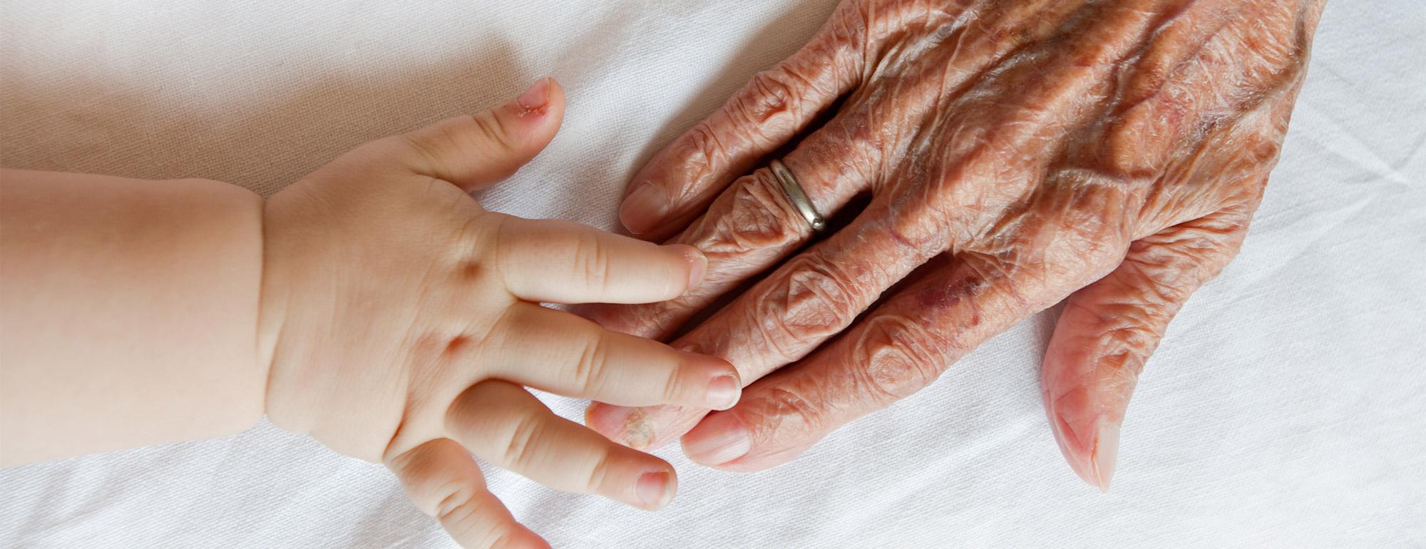 an infants hand touching an elderly persons hand