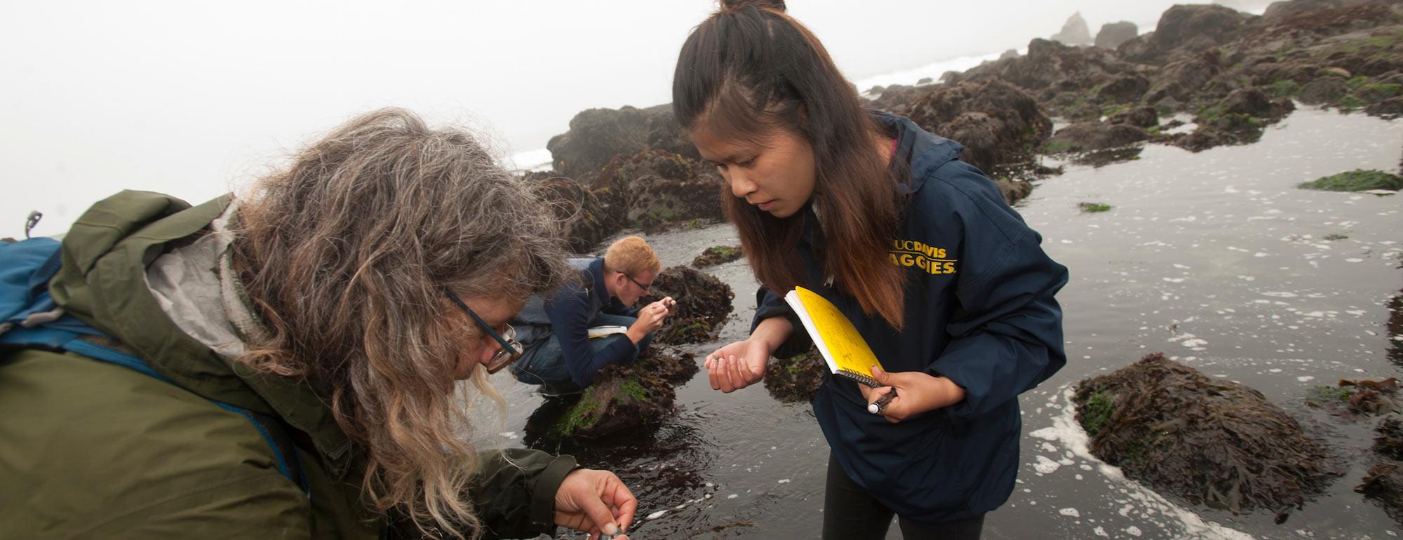 A student and her professor examine a sample collected from a tide pool at Bodega Bay Marine lab