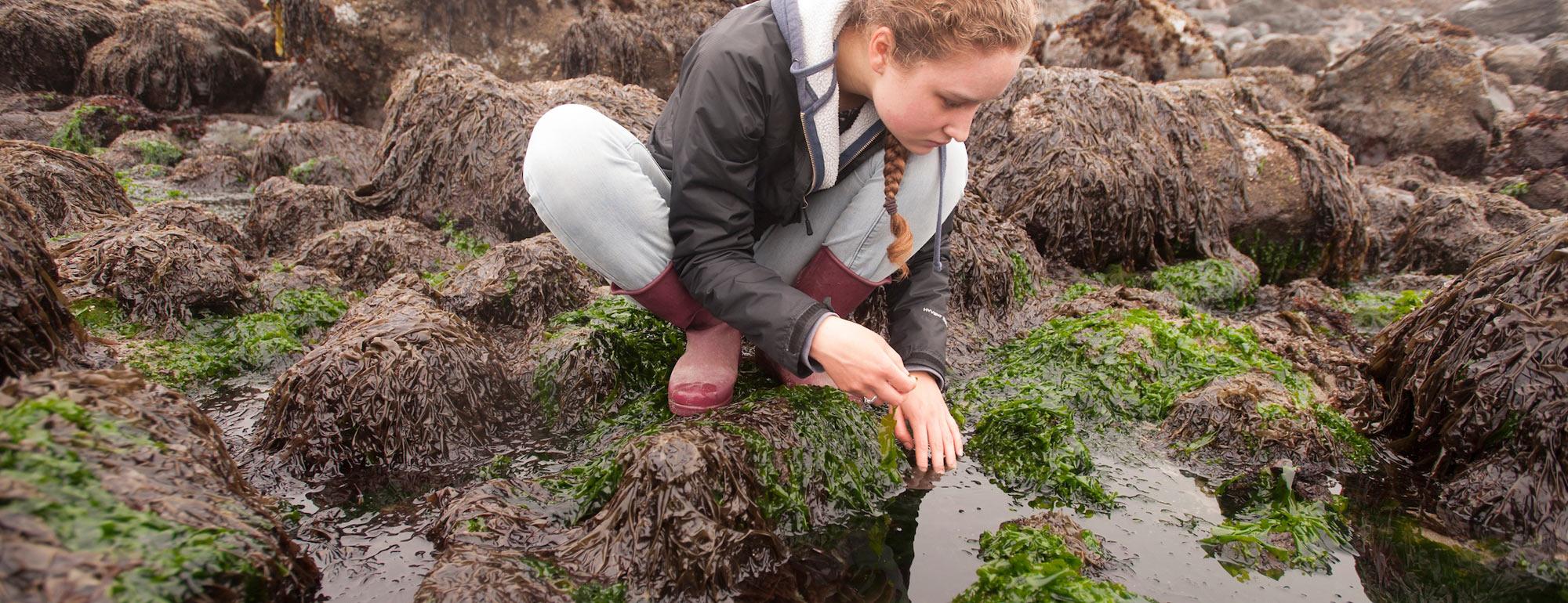 A female student investigates a tide pool near Bodega Bay