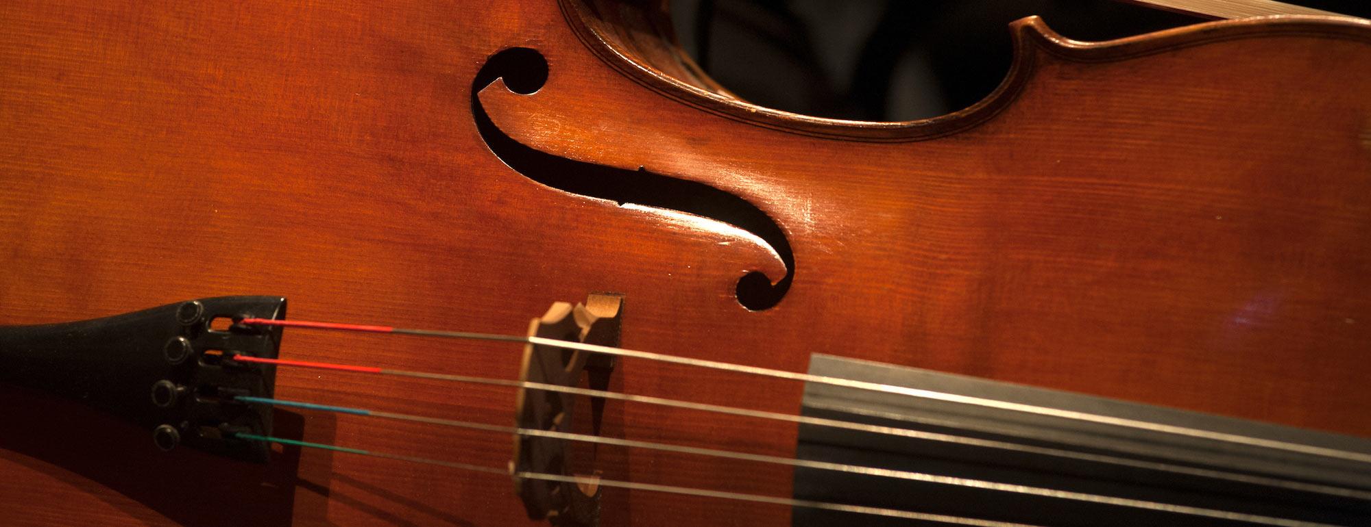 A string instrument close up