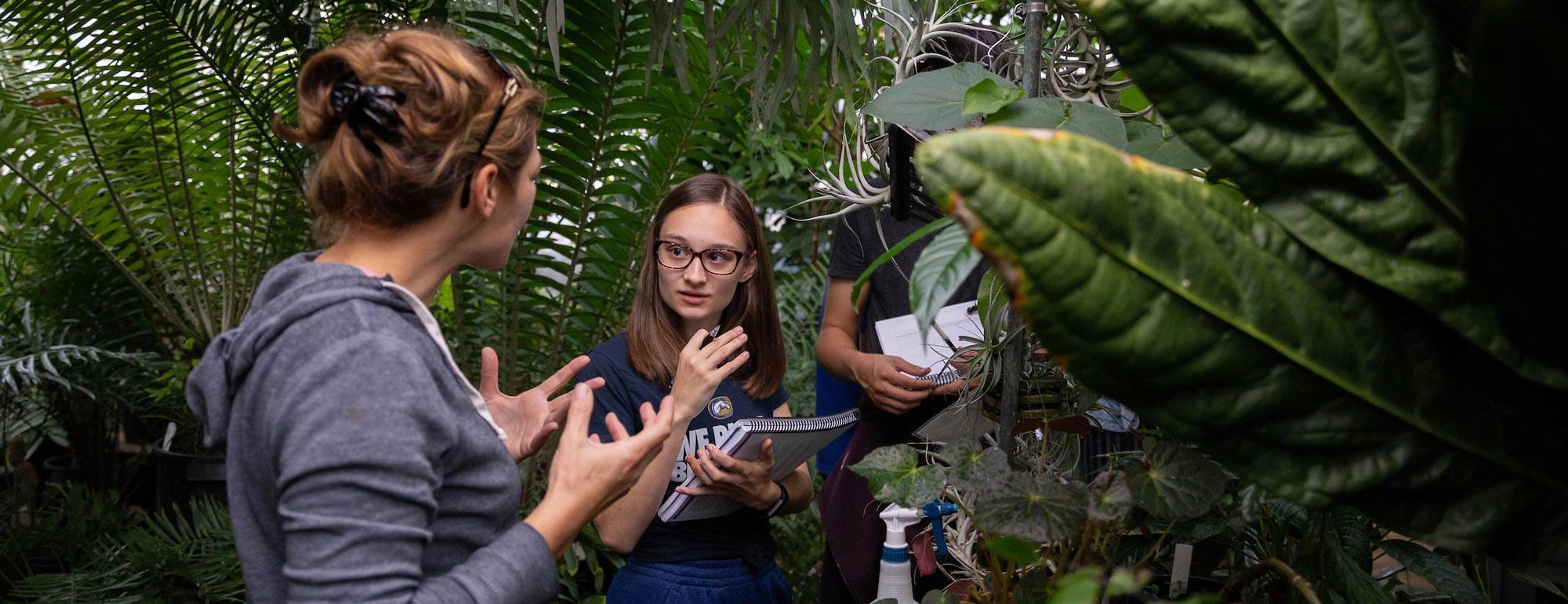 A student discusses a plant specimen with her professor in one of UC Davis's several green houses