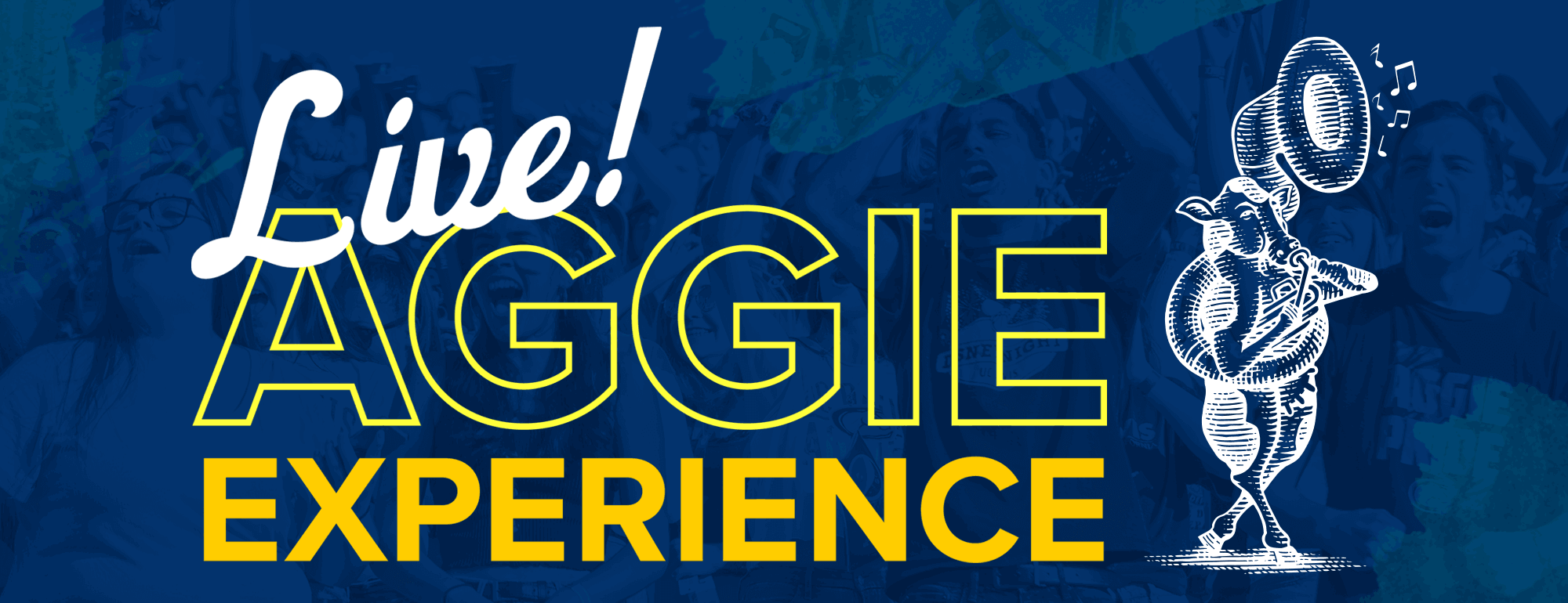 aggie experience live