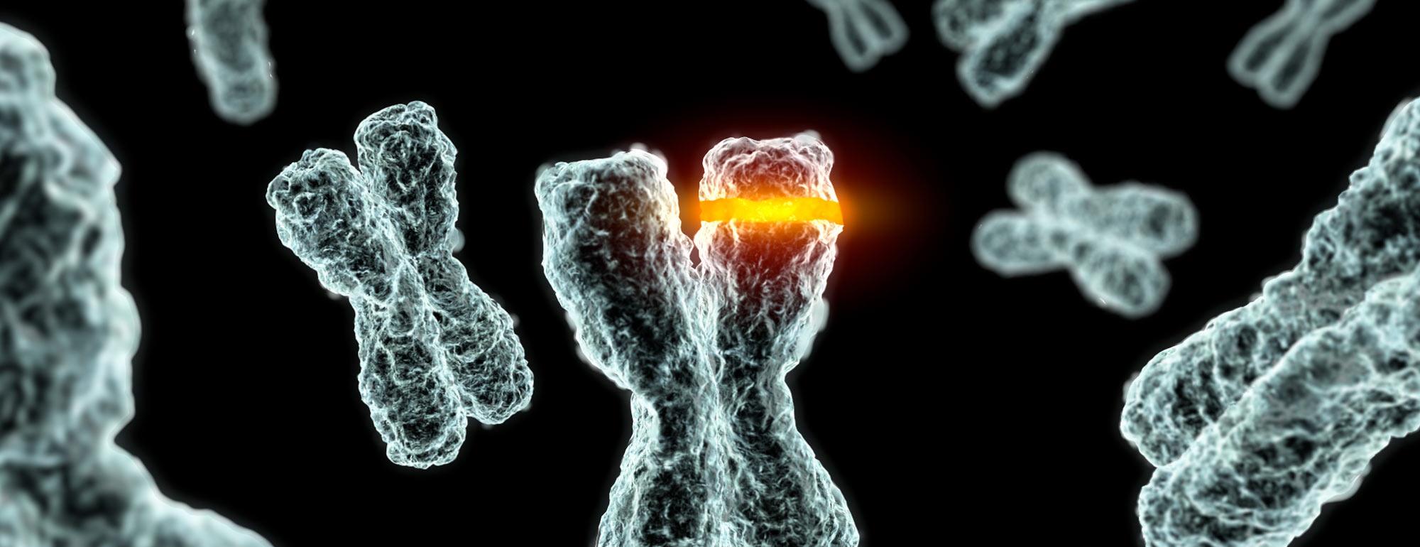 A computer rendering of a deformed chromosome