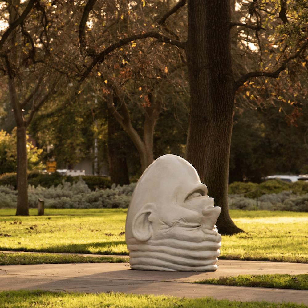 Eye on Mrak egghead sculpture on UC Davis campus at golden hour