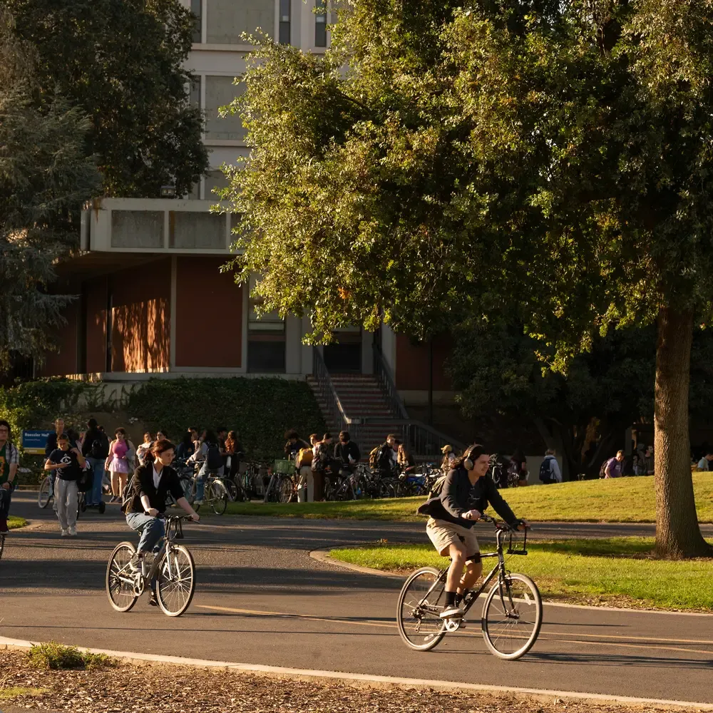 students riding bikes on the bike path on UC Davis campus